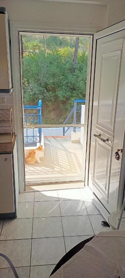 Siviri Sea & Forest-Cozy Apartment With Garden & Nature Views Екстериор снимка