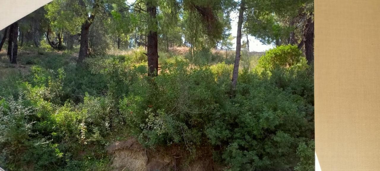 Siviri Sea & Forest-Cozy Apartment With Garden & Nature Views Екстериор снимка